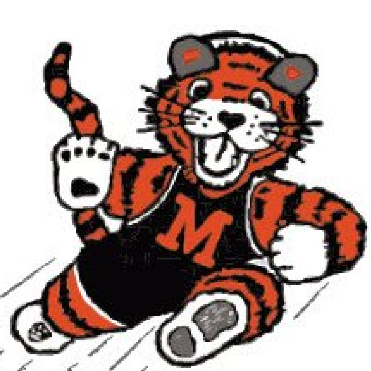 Sabertooth Wrestling Club - MASSILLON